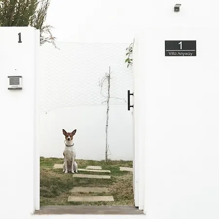 Villa Anyway Conil Un Lujo Frente Al Mar Conil De La Frontera Exterior photo