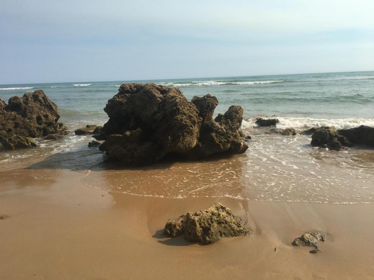 Anyway Conil Un Lujo Frente Al Mar * Conil De La Frontera